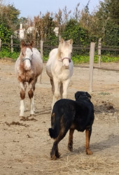 WhatsApp-Image-2024-12-03-a-1259205453169d