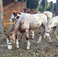 WhatsApp-Image-2024-12-03-a-125921f06aad86