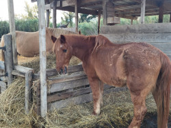 WhatsApp-Image-2024-12-03-a-123620cb4e3df0